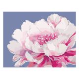 Картина по номерам на холсте с глиттером ТРИ СОВЫ "Серебро на цветке", 30*40, с акриловыми красками и кистями