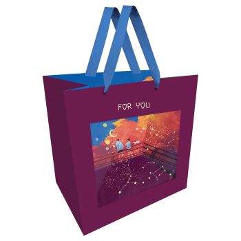 Пакет подарочный 23*18*10см MESHU 