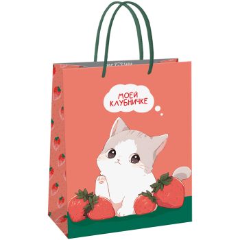 Пакет подарочный 11*14*6,5см MESHU 